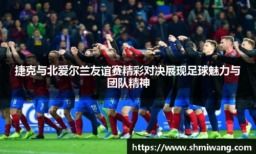 捷克与北爱尔兰友谊赛精彩对决展现足球魅力与团队精神